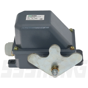 КУ-704 У1,10А,IP44,IP54,РычагпластинчатыйW-образный,Фиксация в каждом положении,Выключатели концевые