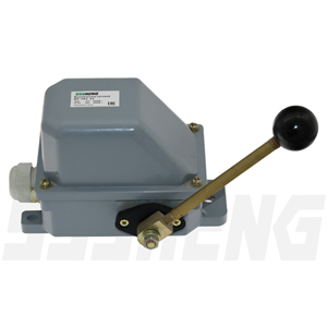 ВУ-702 У1,10А,IP44,IP54,рычаг с ручкой, 2 положения,Выключатели концевые