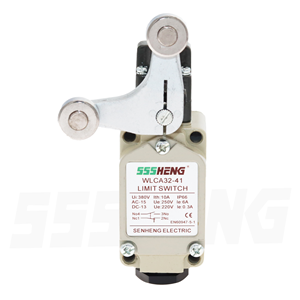 WLCA32-41/M,10А,IP66,1NO+1NC,Limit Switch